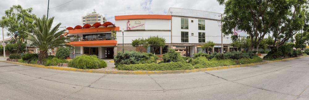 Hotel Flamingo Irapuato Exteriér fotografie