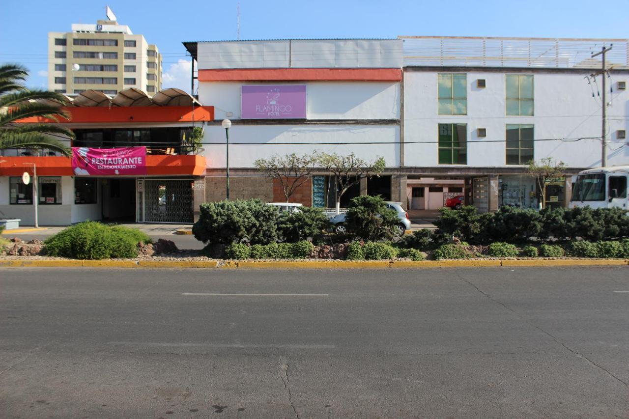 Hotel Flamingo Irapuato Exteriér fotografie